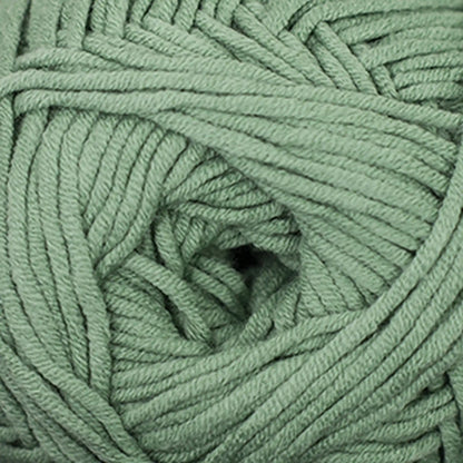Cascade Sarasota Chunky Yarn color 239 Granite Green