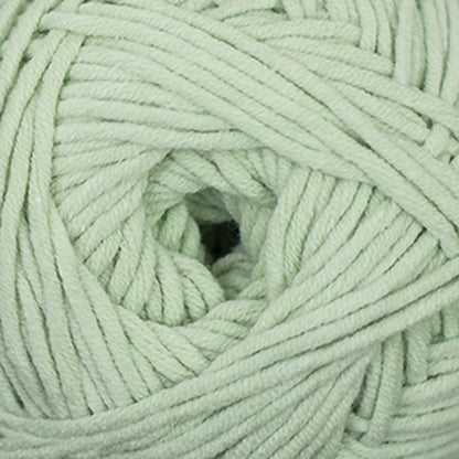 Cascade Sarasota Chunky Yarn color 240 Celadon
