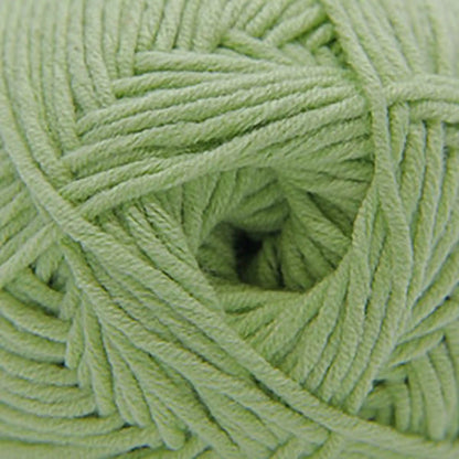 Cascade Sarasota Worsted Yarn color 201 Baby Lime