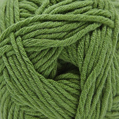 Cascade Sarasota Worsted Yarn color 202 Jade Green