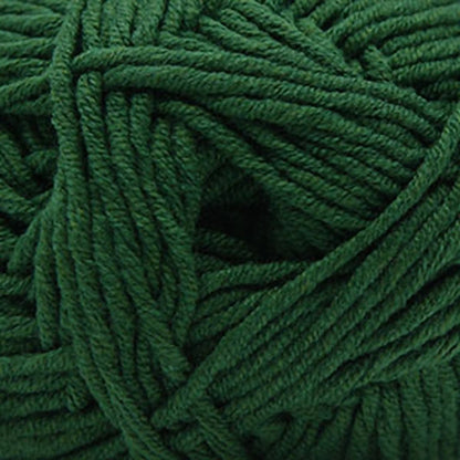 Cascade Sarasota Worsted Yarn color 205 Dark Green