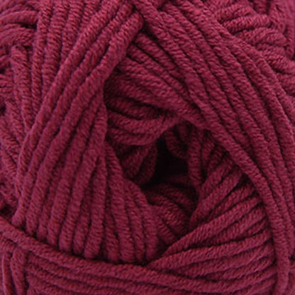Cascade Sarasota Worsted Yarn color 215 Anemone