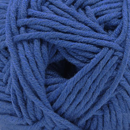 Cascade Sarasota Worsted Yarn color 231 Blue