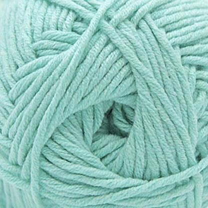 Cascade Sarasota Worsted Yarn color 233 Baby Turquoise