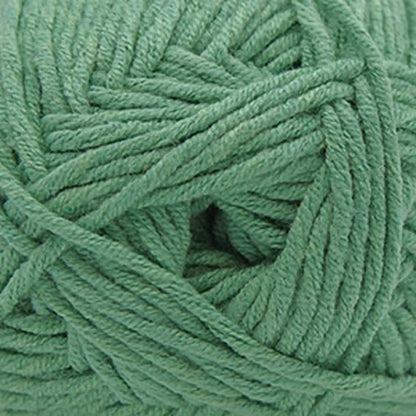 Cascade Sarasota Worsted Yarn color 239 Granite Green