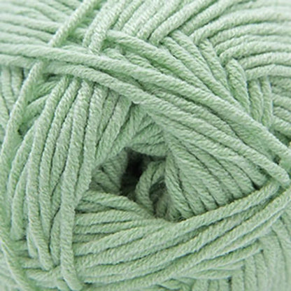 Cascade Sarasota Worsted Yarn color 240 Celadon