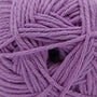 243 African Violet