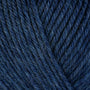 33138 Delphinium