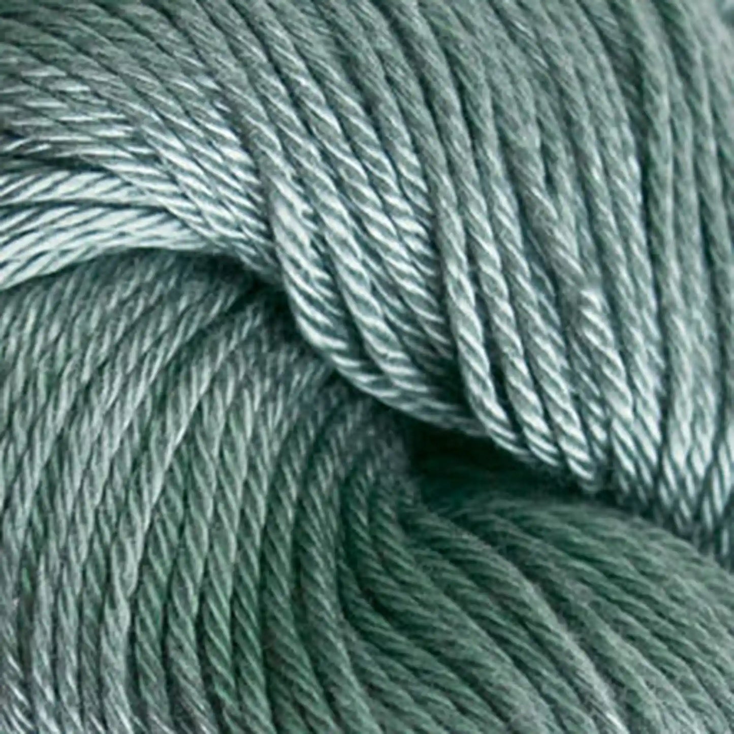 Cascade Ultra Pima DK Yarn color 3721 Ginseng