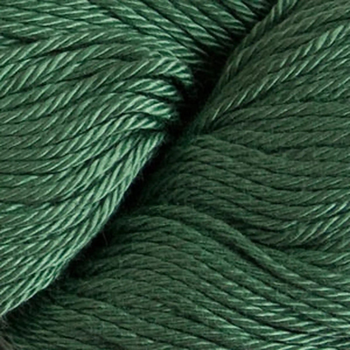 Cascade Ultra Pima DK Yarn color 3761 Juniper