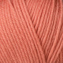3349 Raspberry