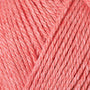 10093 Guava