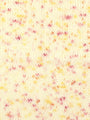 10192 Mango
