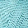 12120 Gingham