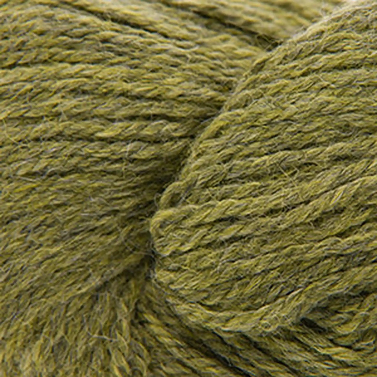 Cascade Woolpaka Worsted Yarn color 12 Turtle