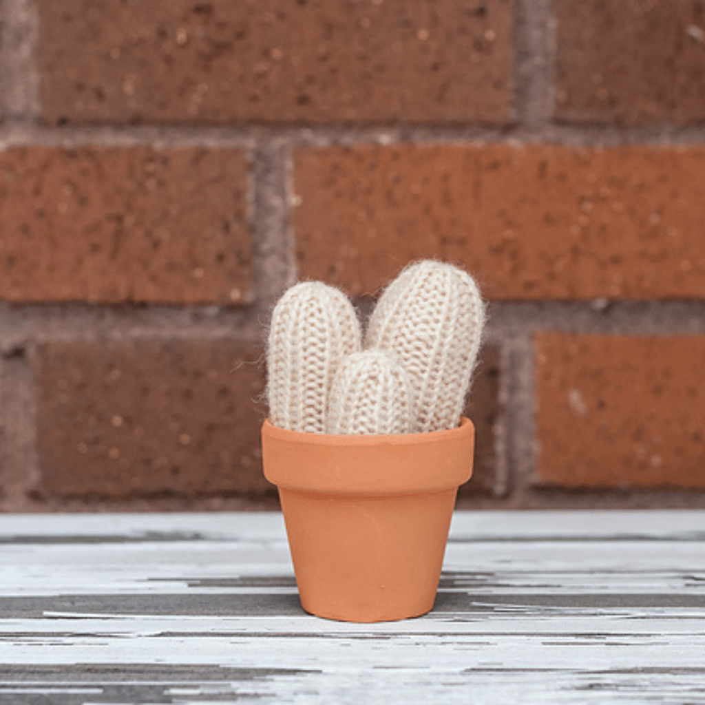 A Prickle of Cactus 2 Pattern - Paradise Fibers
