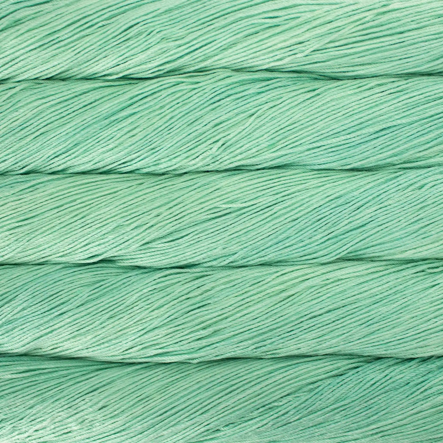 Malabrigo Arroyo Sport Yarn color 083 Water Green
