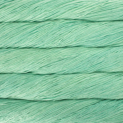 Malabrigo Arroyo Sport Yarn color 083 Water Green
