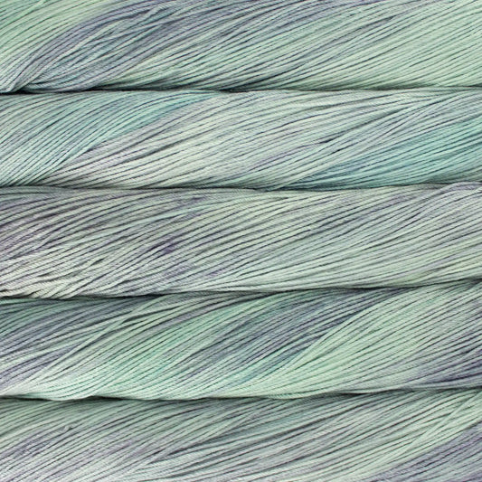 Malabrigo Arroyo Sport Yarn color 724 Flavia