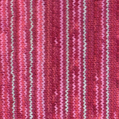 Araucania Huasco Sock Zig Zag - Paradise Fibers