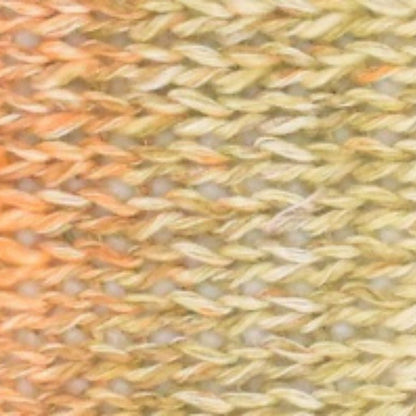 Araucania Junto Yarn - Paradise Fibers
