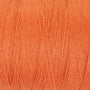Celosia Orange 850