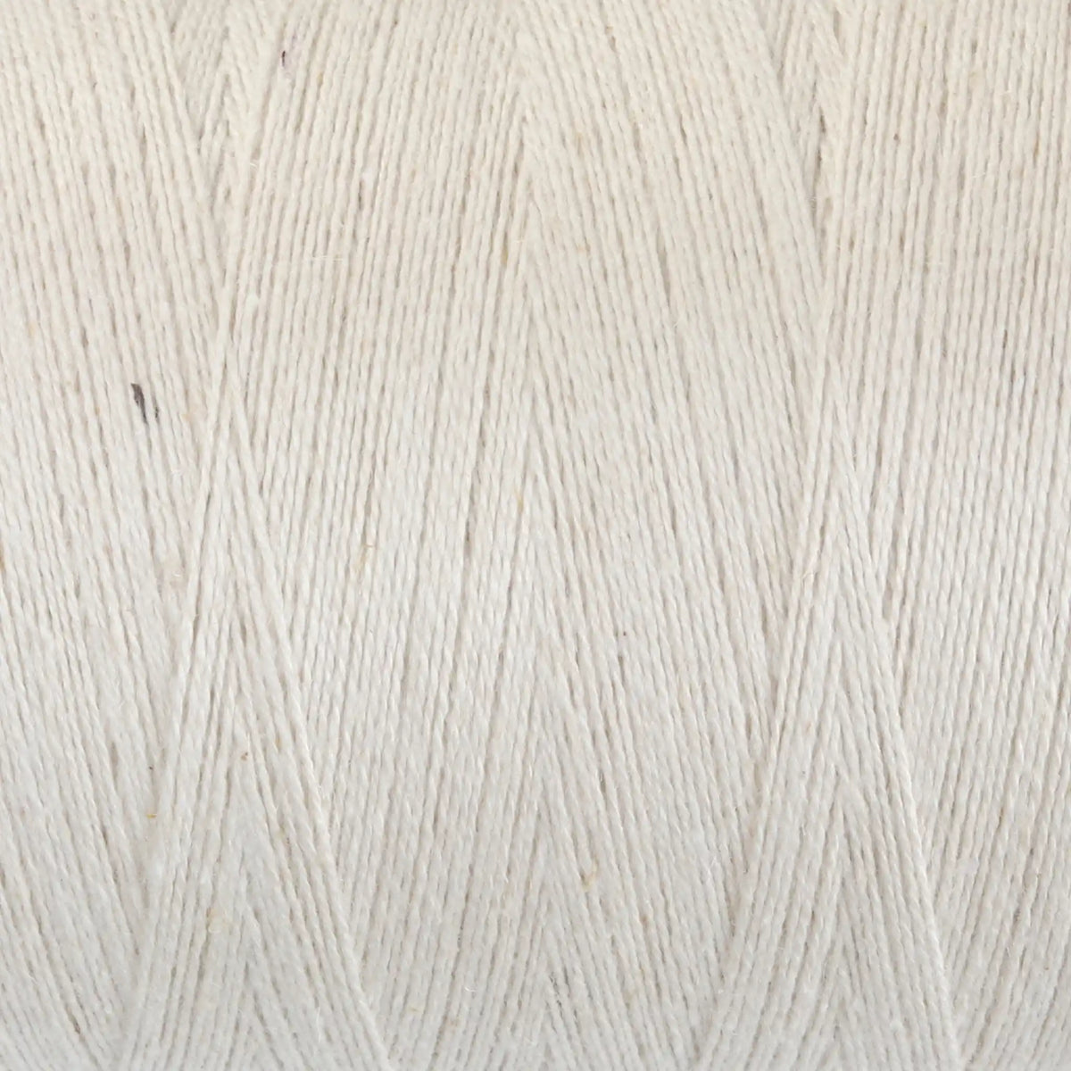 Ashford Cottolin 8/2 Cone color Natural White 803