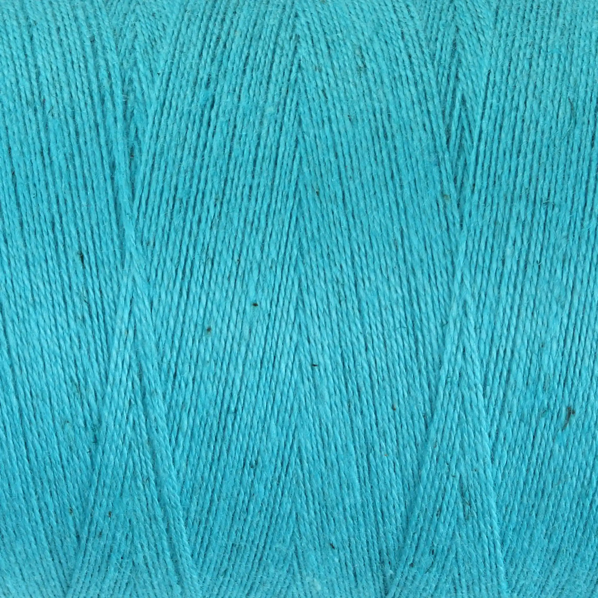 Ashford Cottolin 8/2 Cone color Scuba Blue 844