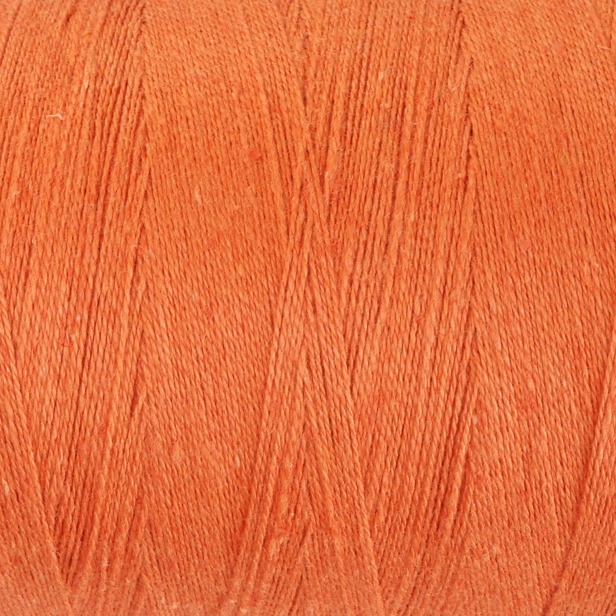 Ashford Cottolin 8/2 Cone color Celosia Orange 850