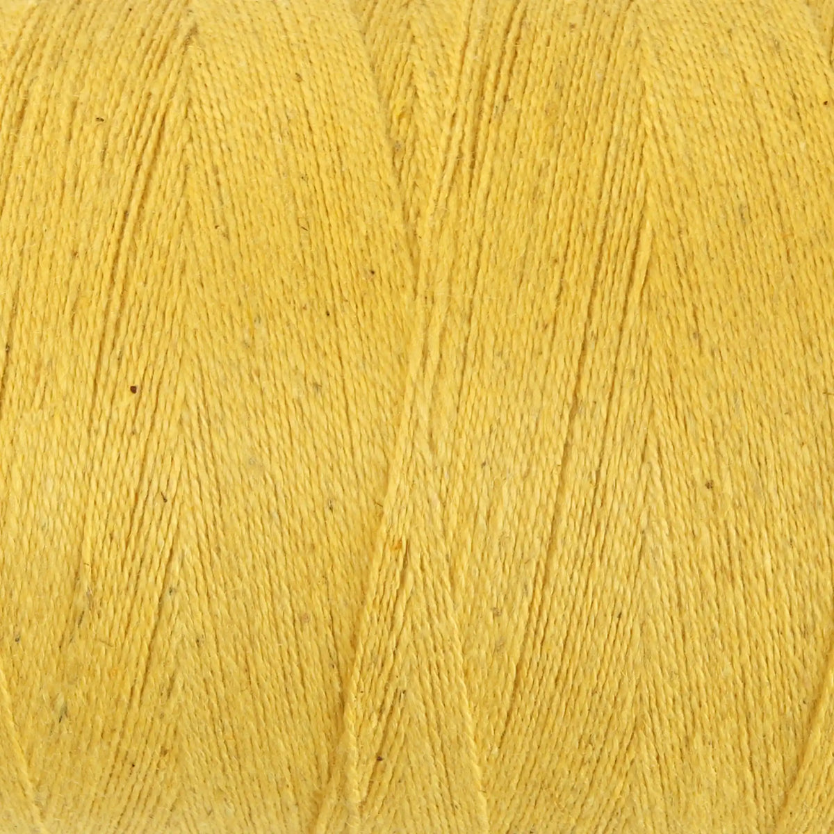 Ashford Cottolin 8/2 Cone color Freesia 854