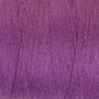 Tulip 872