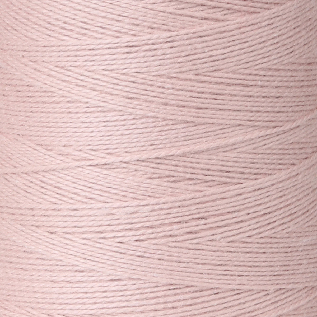 Ashford Unmercerized Cotton Cones - 5/2 color Cameo 908