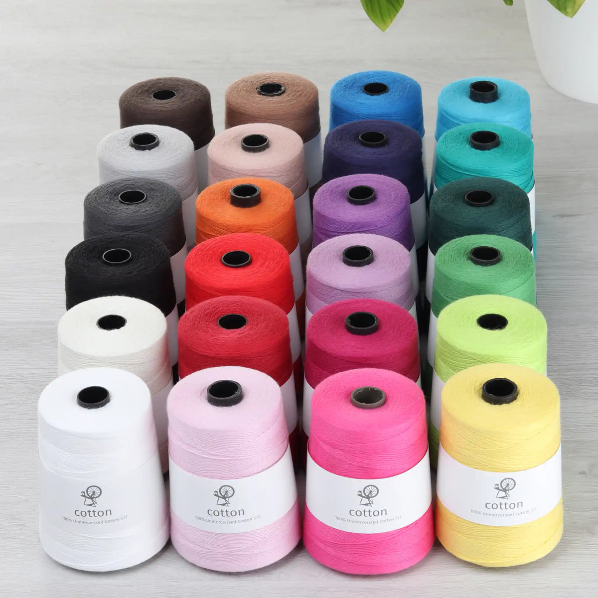 Rows of Ashford 5/2 unmercerized cotton cones in all 24 colors
