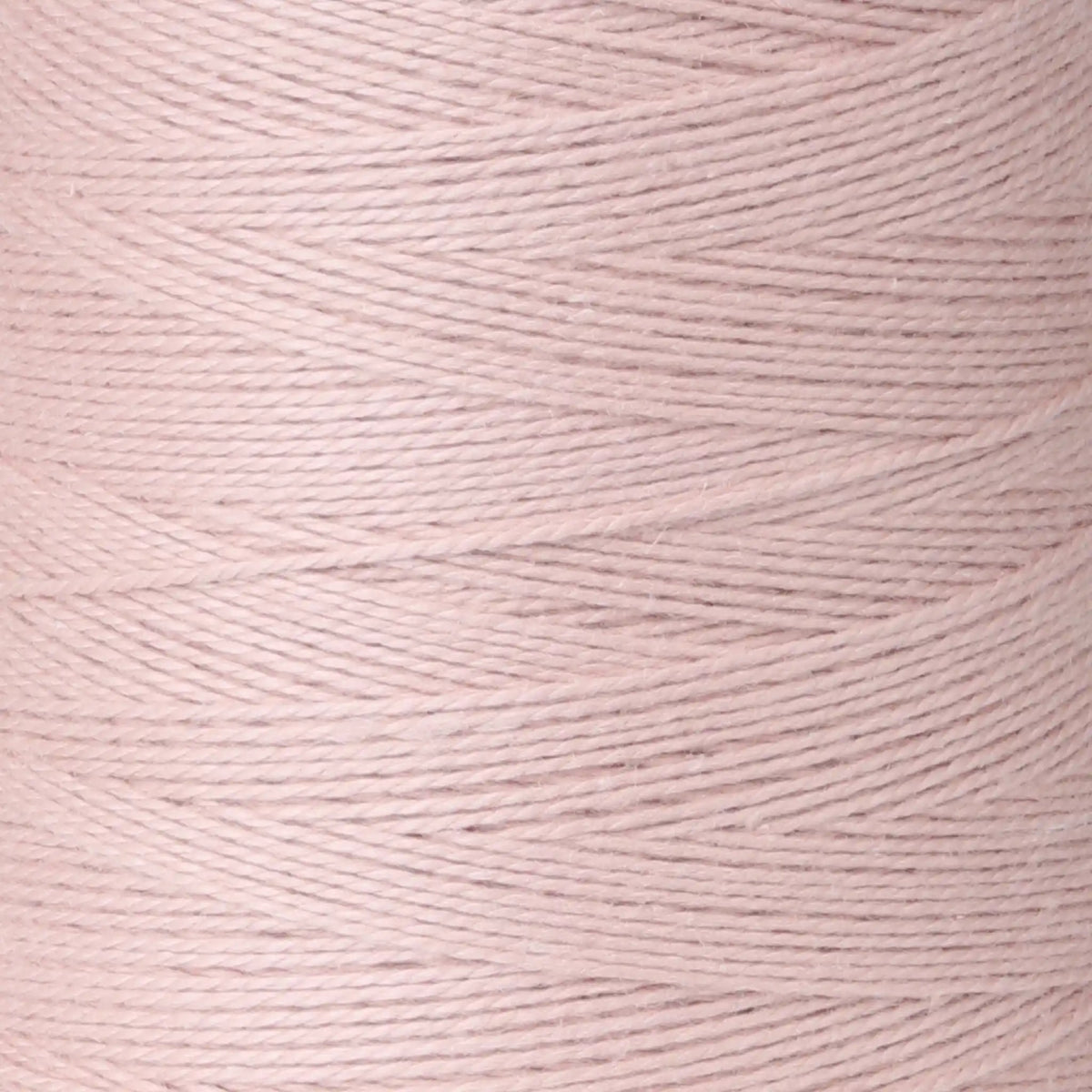 Ashford Unmercerized Cotton Cones - 5/2 color Cameo 908