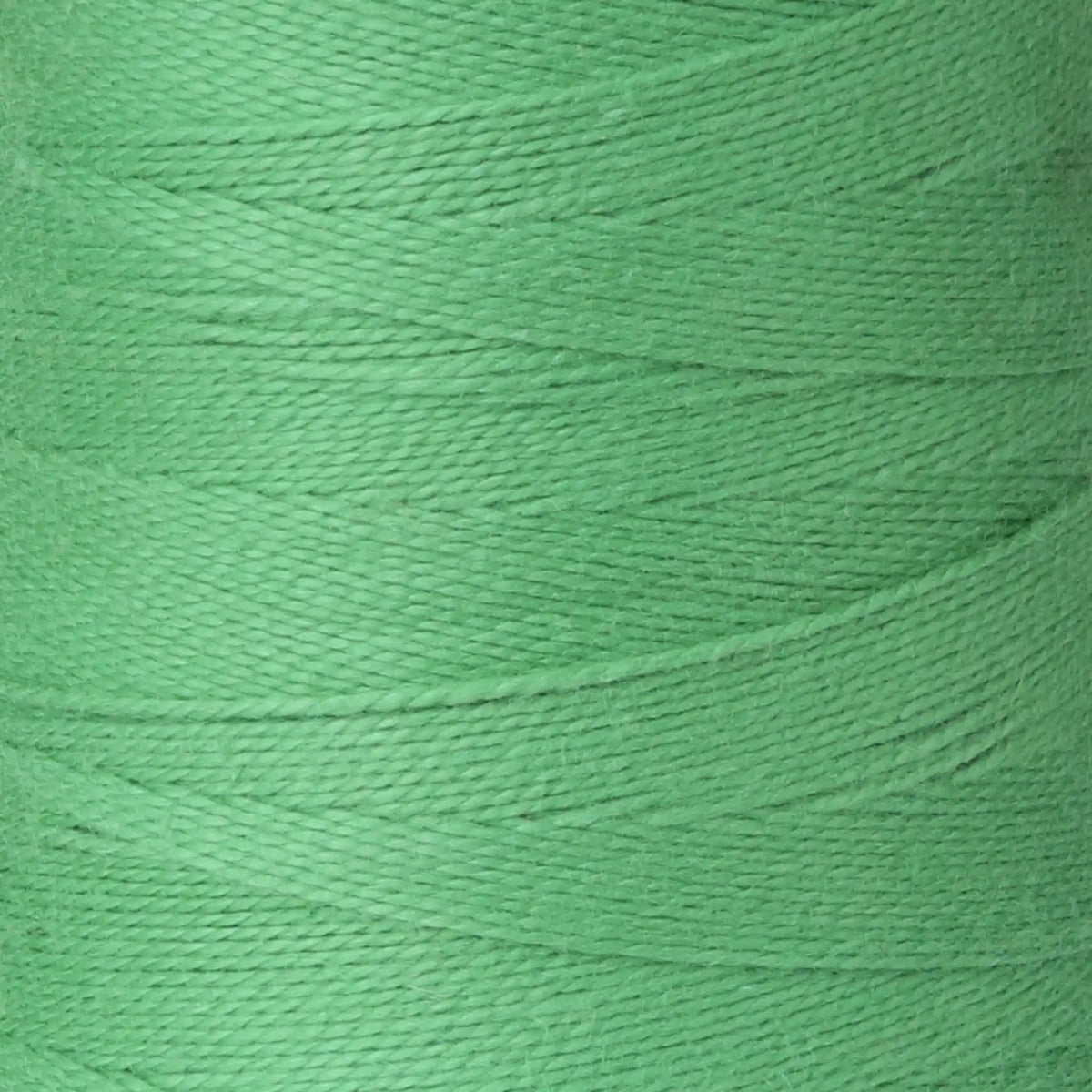 Ashford Unmercerized Cotton Cones - 5/2 color Clover 922
