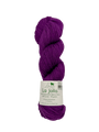 Summer Lilac
