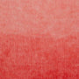 34209 Red Curry