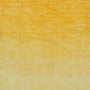 34212 Dandelion