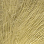 Lemon 34120
