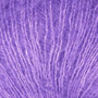 Orchid 3414