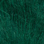 Seaweed 3451