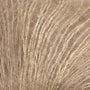 Wheat 34123