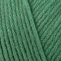 2776 Fern