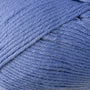 2726 Cornflower
