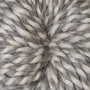 72521 - Sunflower Seed