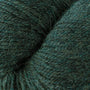 62196 Avocoado