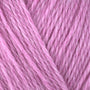 53164 Pink Lady