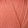 3349 Raspberry