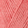 10093 Guava