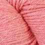 51193 Guava